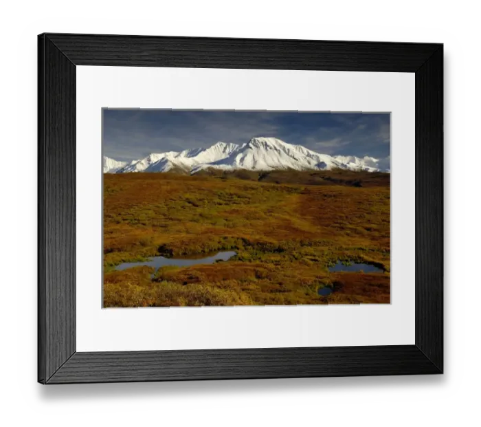 Framed Print : Kettle ponds and tundra in fall foliage front snow-capped peaks in the Alaska Range Framed Print : Kettle ponds and tundra in fall foliage front snow-capped peaks in the Alaska Range