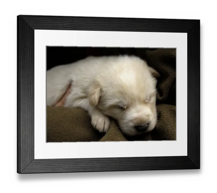 Framed Print : USA, North America, Alaska