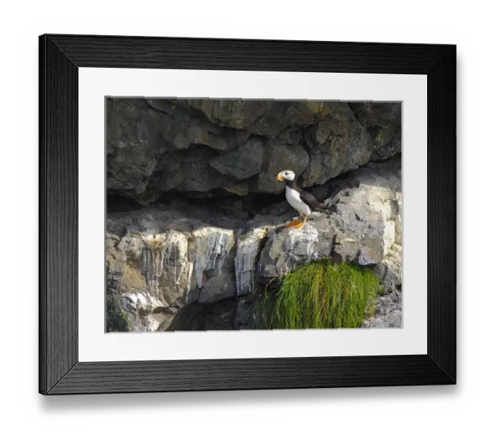 Framed Print : USA, North America, Alaska Framed Print : USA, North America, Alaska