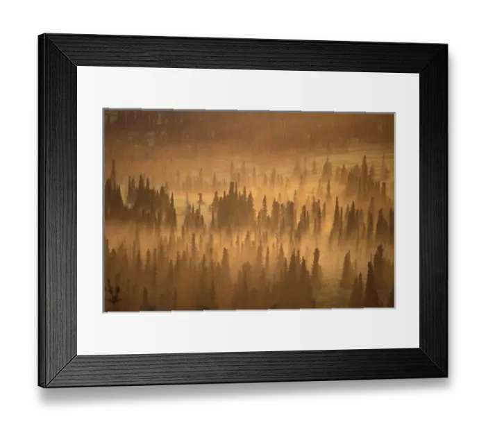 Framed Print : USA, Alaska, Turnagain Arm, Chugach State Park. Setting midnight sun lights midnight Framed Print : USA, Alaska, Turnagain Arm, Chugach State Park. Setting midnight sun lights midnight