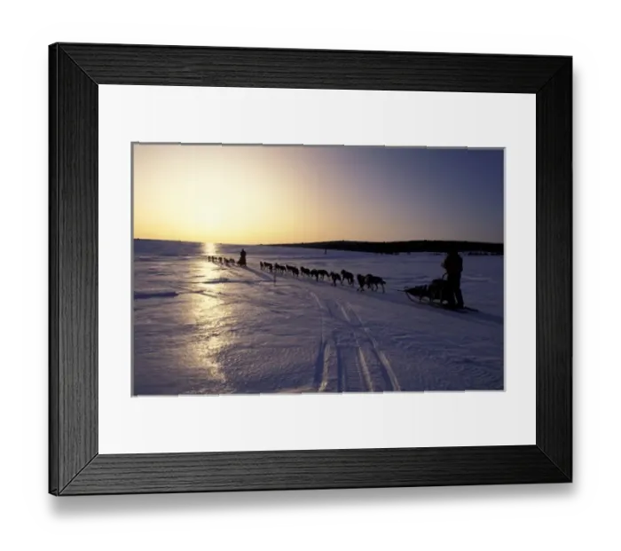 Framed Print : USA, Alaska. Sledders racing along Iditarod trail towrds Elim