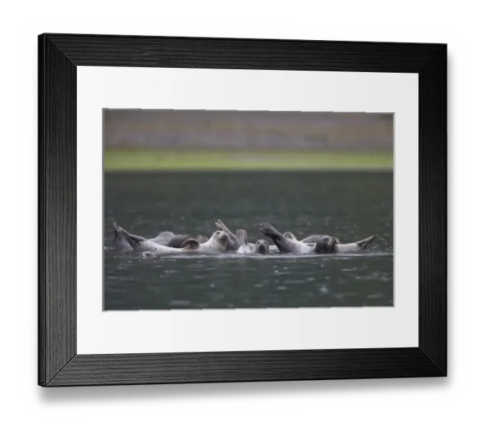 Framed Print : USA, North America, Alaska Framed Print : USA, North America, Alaska
