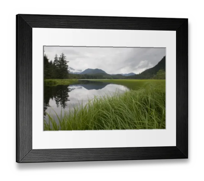 Framed Print : Sedge Grass Meadow, Pavlof Harbor, Chichagof Island, Alaska Framed Print : Sedge Grass Meadow, Pavlof Harbor, Chichagof Island, Alaska