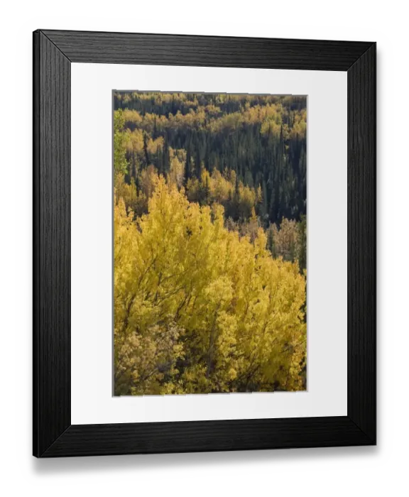 Framed Print : USA, North America, Alaska Framed Print : USA, North America, Alaska
