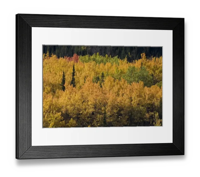 Framed Print : USA, North America, Alaska Framed Print : USA, North America, Alaska
