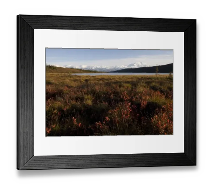 Framed Print : USA, Alaska, Denali National Park, Mount McKinley and Wonder Lake Framed Print : USA, Alaska, Denali National Park, Mount McKinley and Wonder Lake