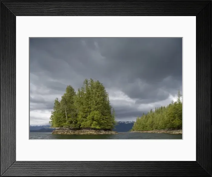 Framed Print : USA, Alaska, Forest covered islands near Misty Fiords National Monument Framed Print : USA, Alaska, Forest covered islands near Misty Fiords National Monument