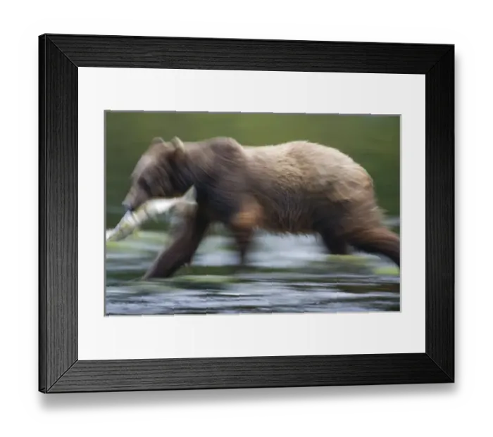 Framed Print : USA, North America, Alaska