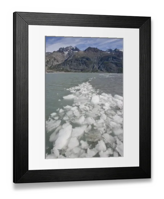 Framed Print : USA, Alaska, Glacier Bay National Park, Icebergs from Margerie Glacier floating in