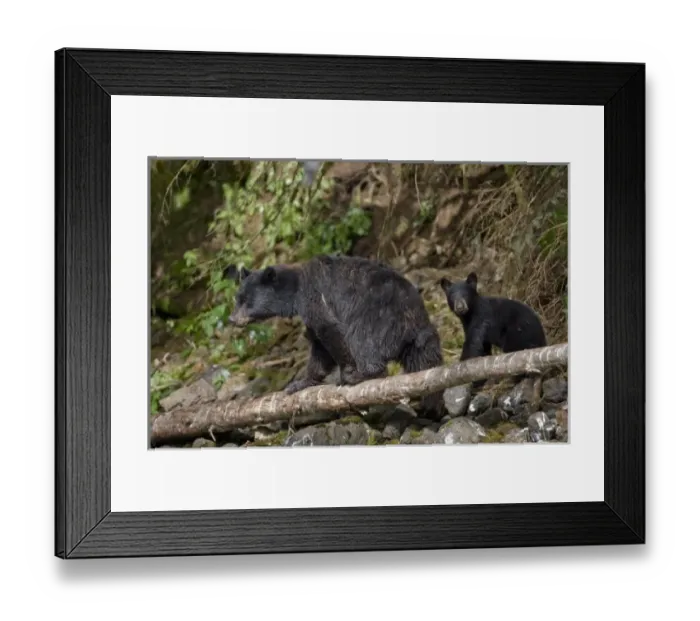Framed Print : USA, North America, Alaska