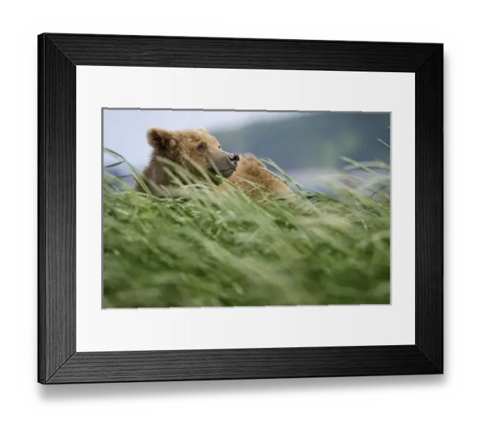 Framed Print : USA, North America, Alaska Framed Print : USA, North America, Alaska