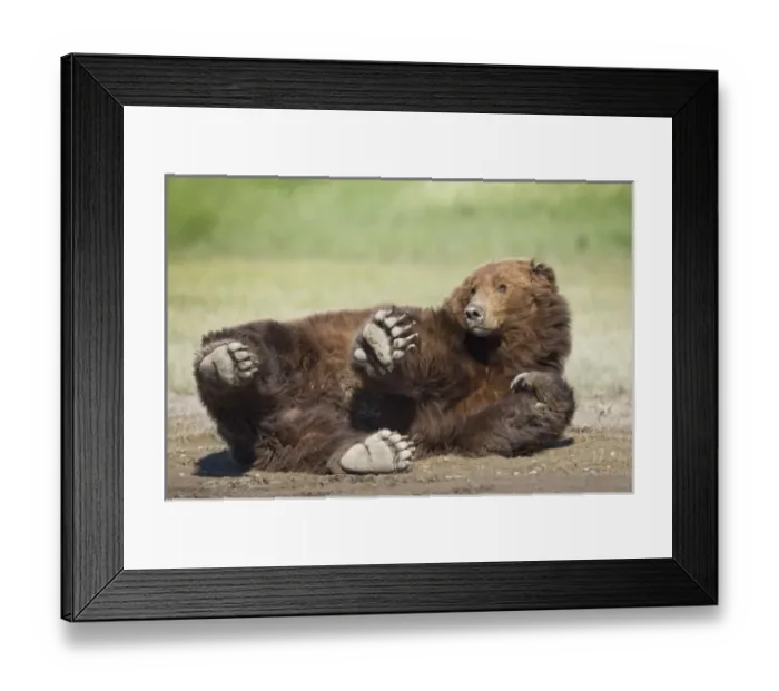 Framed Print : USA, North America, Alaska Framed Print : USA, North America, Alaska