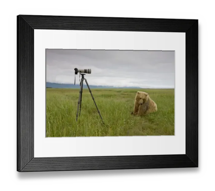 Framed Print : USA, North America, Alaska Framed Print : USA, North America, Alaska