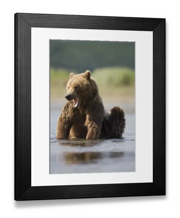 Framed Print : USA, North America, Alaska Framed Print : USA, North America, Alaska