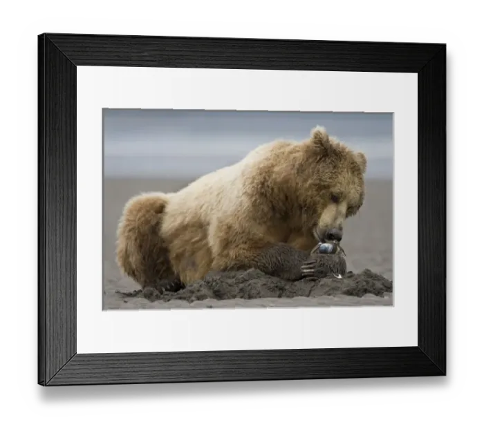 Framed Print : USA, North America, Alaska Framed Print : USA, North America, Alaska