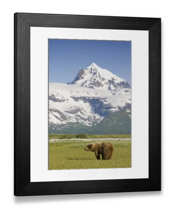 Framed Print : USA, North America, Alaska Framed Print : USA, North America, Alaska