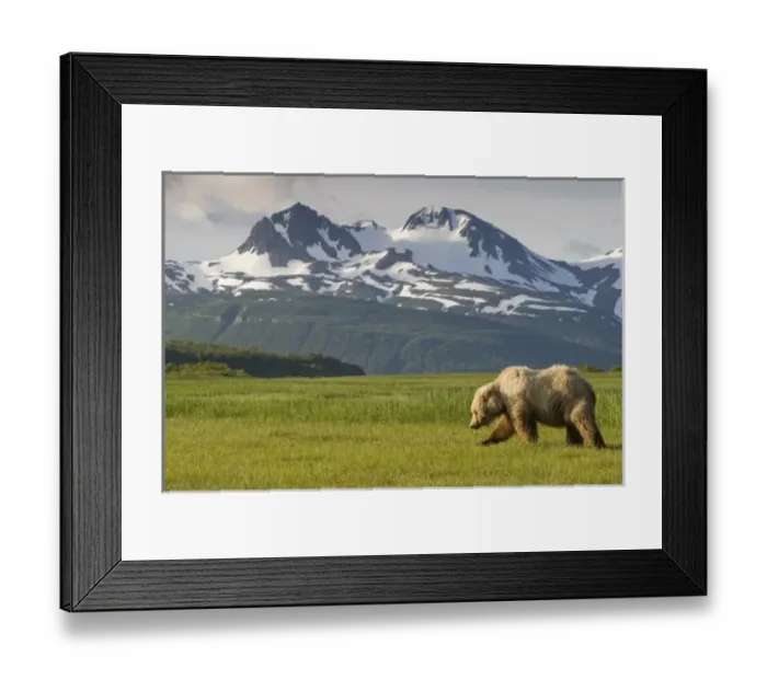 Framed Print : USA, North America, Alaska