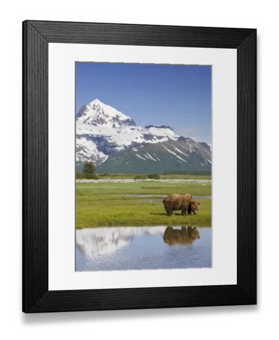 Framed Print : USA, North America, Alaska Framed Print : USA, North America, Alaska
