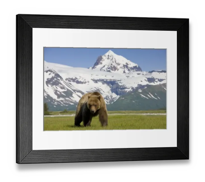 Framed Print : USA, North America, Alaska Framed Print : USA, North America, Alaska