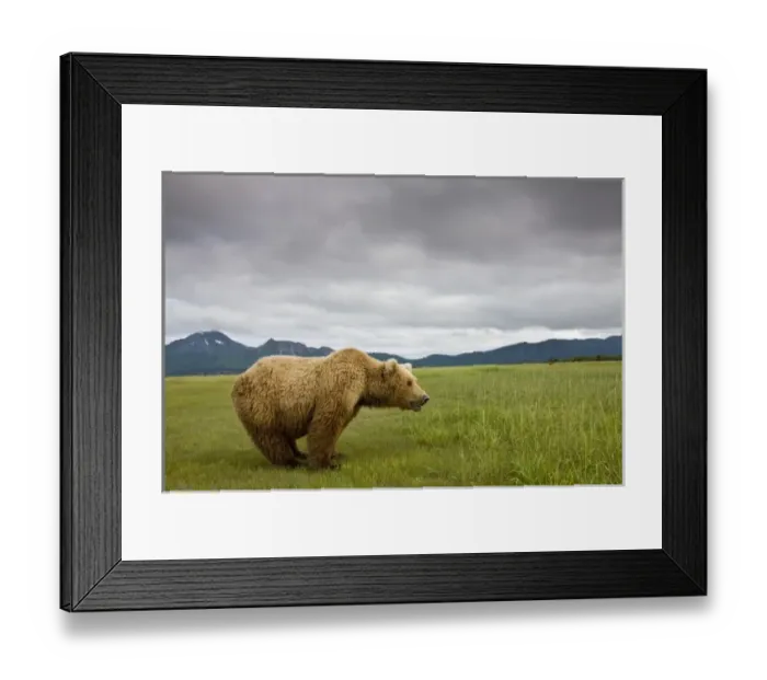 Framed Print : USA, North America, Alaska Framed Print : USA, North America, Alaska
