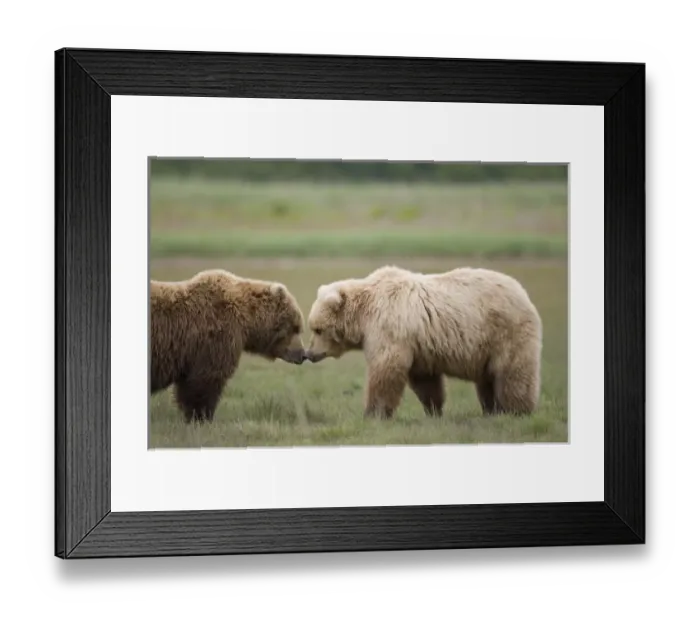 Framed Print : USA, North America, Alaska Framed Print : USA, North America, Alaska