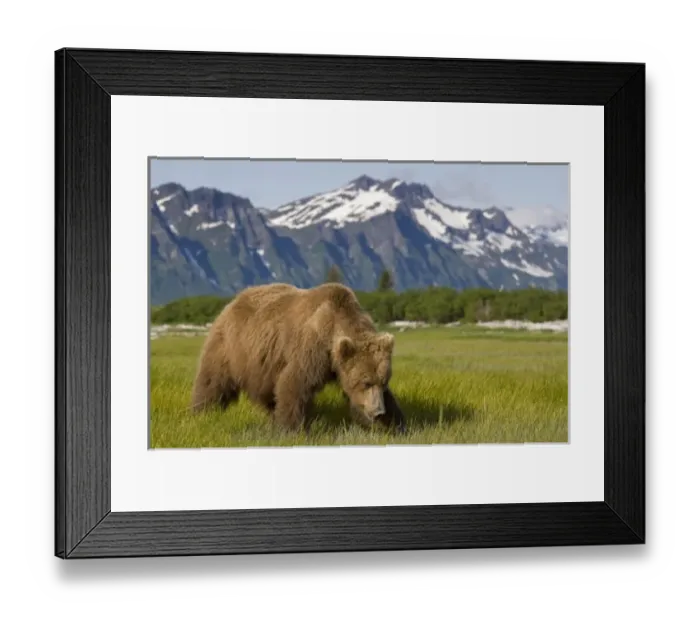 Framed Print : USA, North America, Alaska