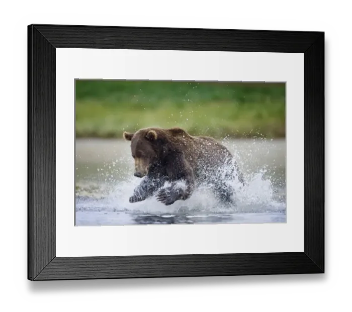 Framed Print : USA, North America, Alaska Framed Print : USA, North America, Alaska