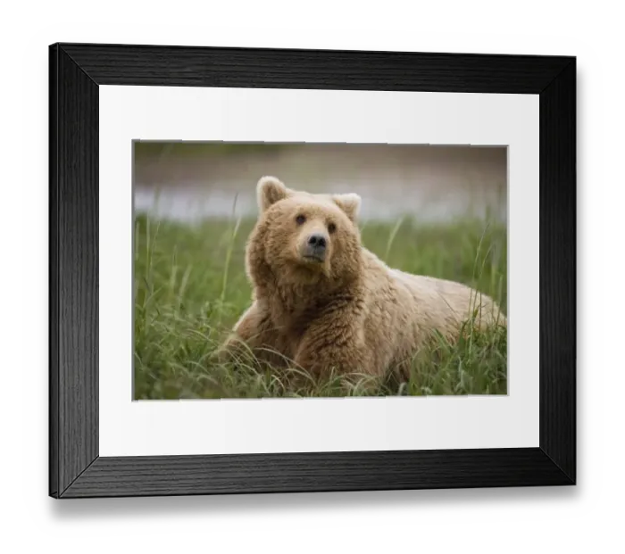 Framed Print : USA, North America, Alaska Framed Print : USA, North America, Alaska