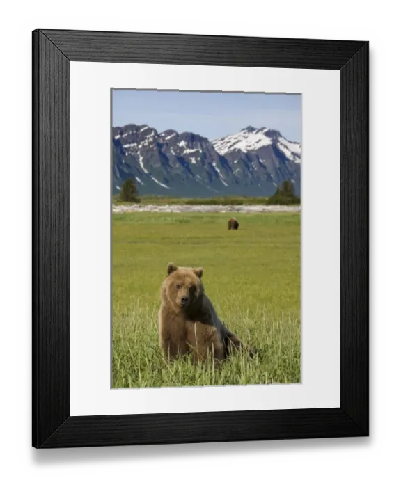 Framed Print : USA, North America, Alaska Framed Print : USA, North America, Alaska