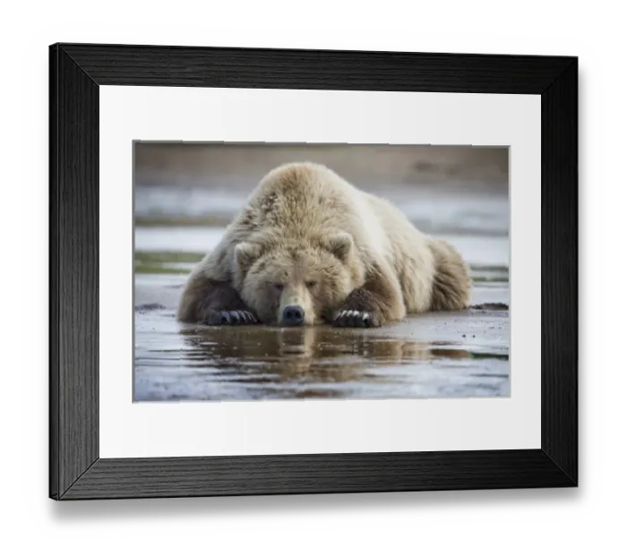 Framed Print : USA, North America, Alaska Framed Print : USA, North America, Alaska