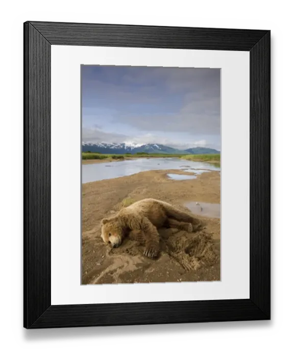 Framed Print : USA, North America, Alaska Framed Print : USA, North America, Alaska