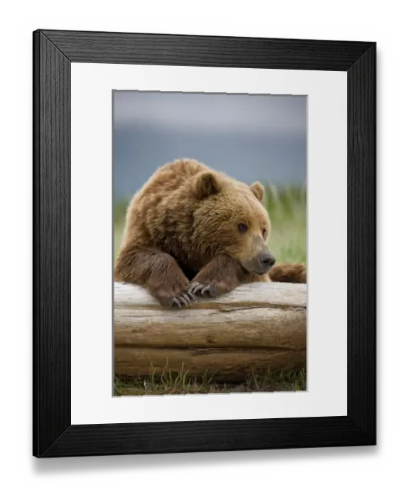 Framed Print : USA, North America, Alaska