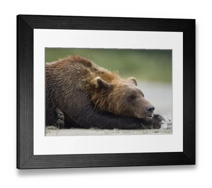 Framed Print : USA, North America, Alaska Framed Print : USA, North America, Alaska