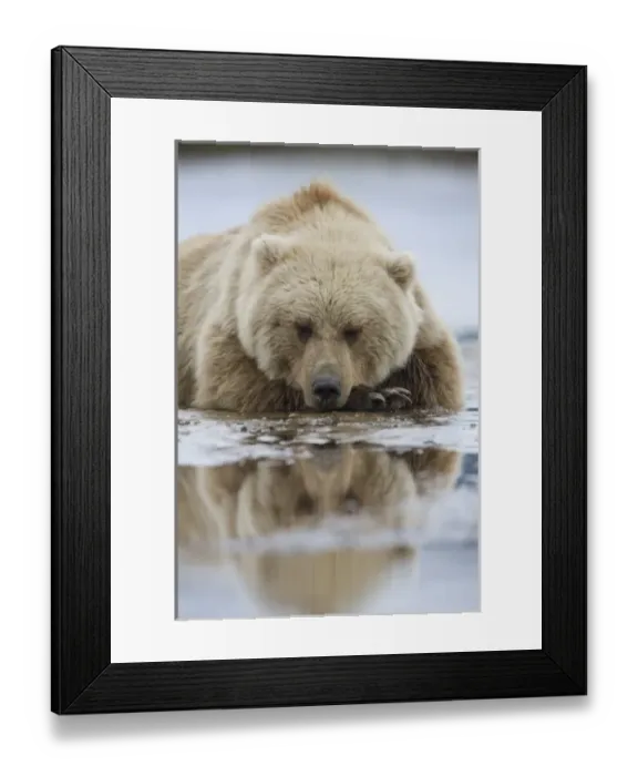 Framed Print : USA, North America, Alaska Framed Print : USA, North America, Alaska