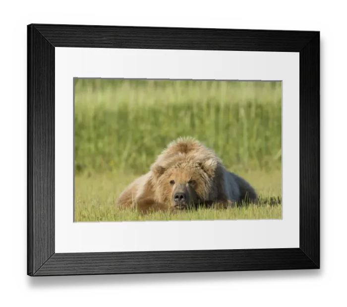 Framed Print : USA, North America, Alaska Framed Print : USA, North America, Alaska