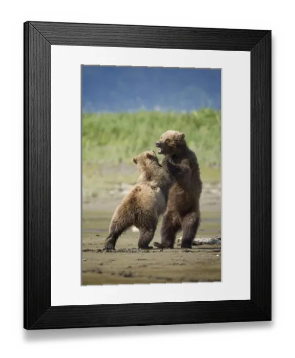 Framed Print : USA, North America, Alaska Framed Print : USA, North America, Alaska