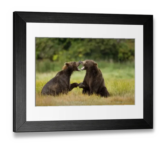 Framed Print : USA, North America, Alaska