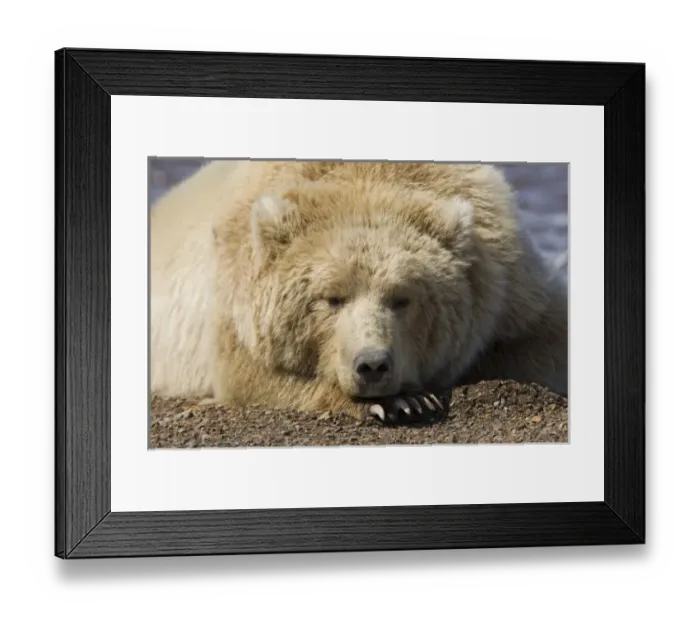 Framed Print : USA, North America, Alaska Framed Print : USA, North America, Alaska