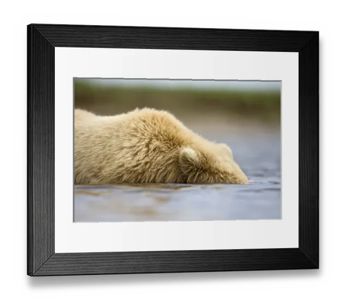 Framed Print : USA, North America, Alaska Framed Print : USA, North America, Alaska
