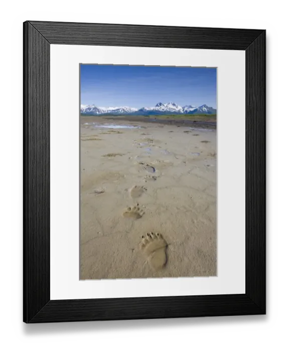 Framed Print : USA, North America, Alaska Framed Print : USA, North America, Alaska