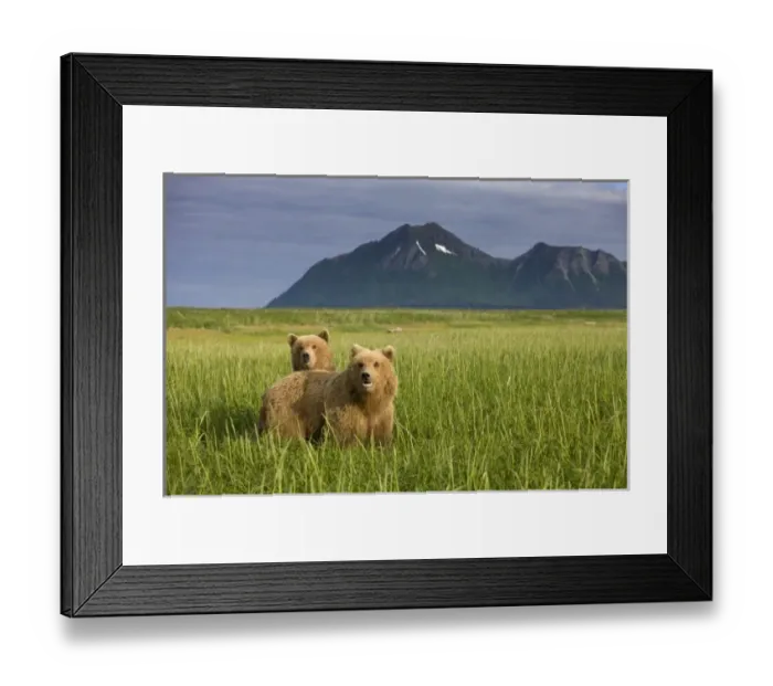 Framed Print : USA, North America, Alaska