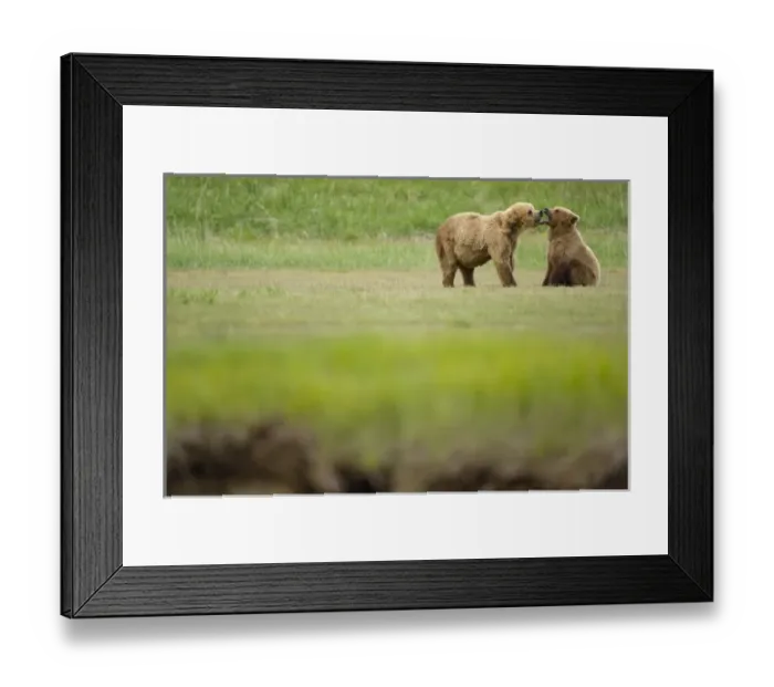 Framed Print : USA, North America, Alaska