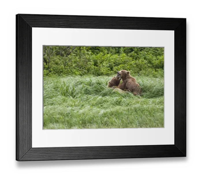 Framed Print : USA, North America, Alaska Framed Print : USA, North America, Alaska
