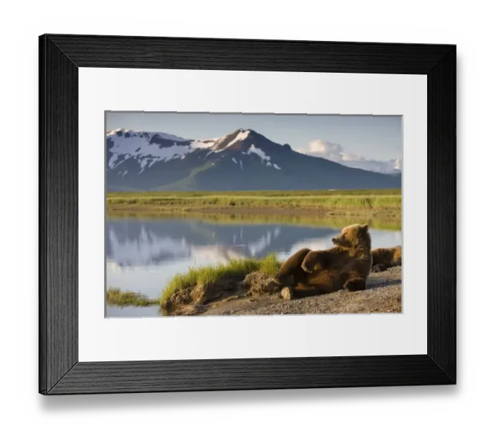 Framed Print : USA, North America, Alaska