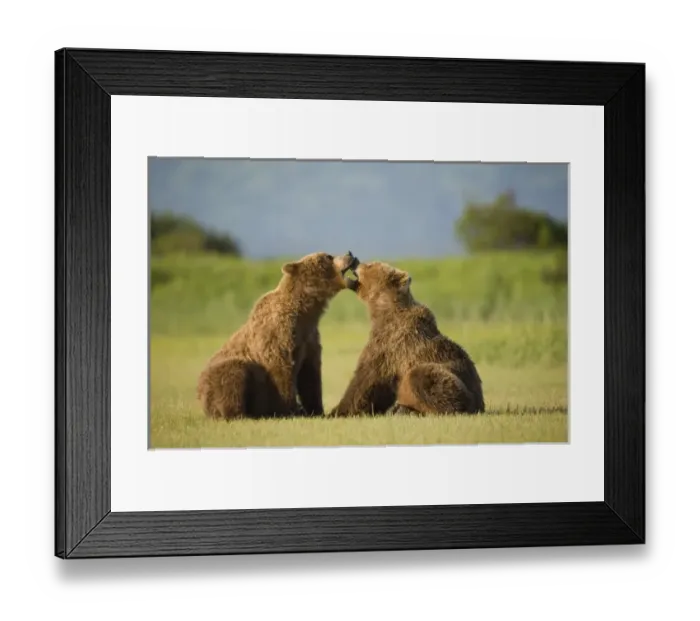 Framed Print : USA, North America, Alaska Framed Print : USA, North America, Alaska