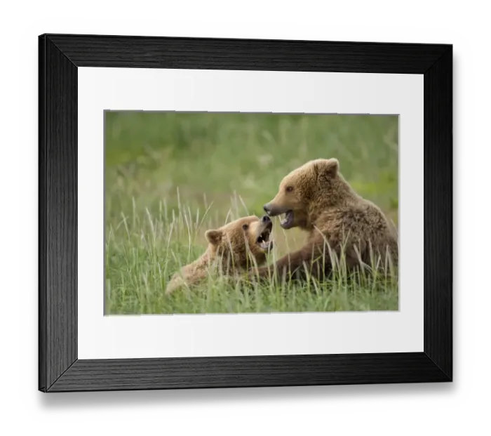Framed Print : USA, North America, Alaska