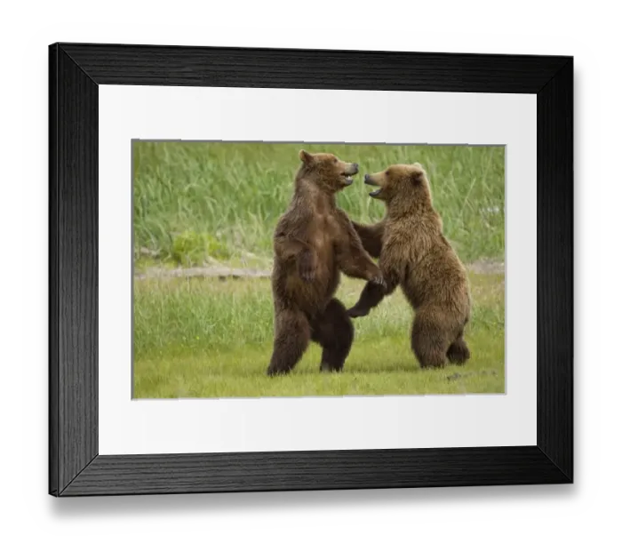 Framed Print : USA, North America, Alaska Framed Print : USA, North America, Alaska
