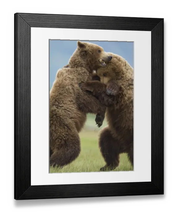 Framed Print : USA, North America, Alaska Framed Print : USA, North America, Alaska