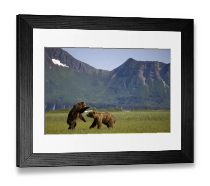Framed Print : USA, North America, Alaska Framed Print : USA, North America, Alaska