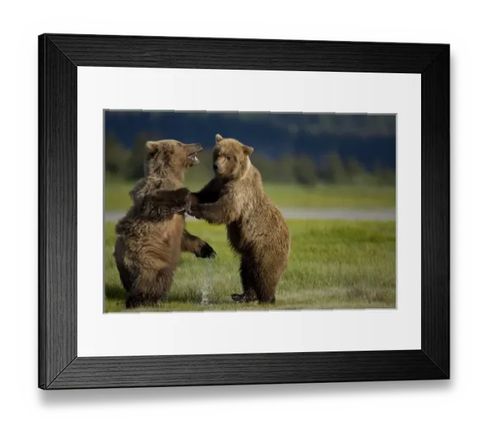 Framed Print : USA, North America, Alaska